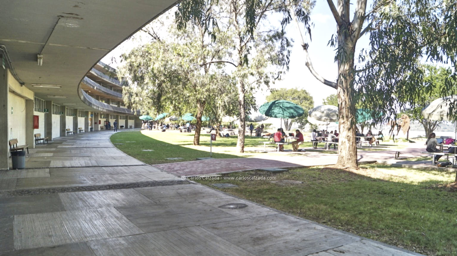 045_2013.jpg