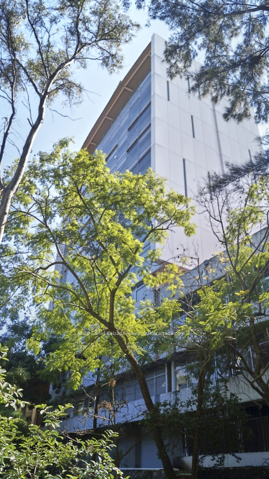 050_2013.jpg