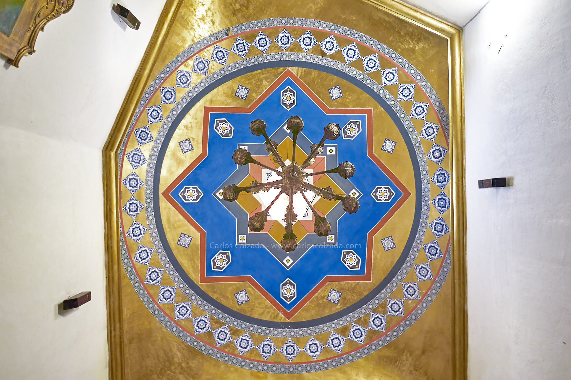 DSC02843.jpg