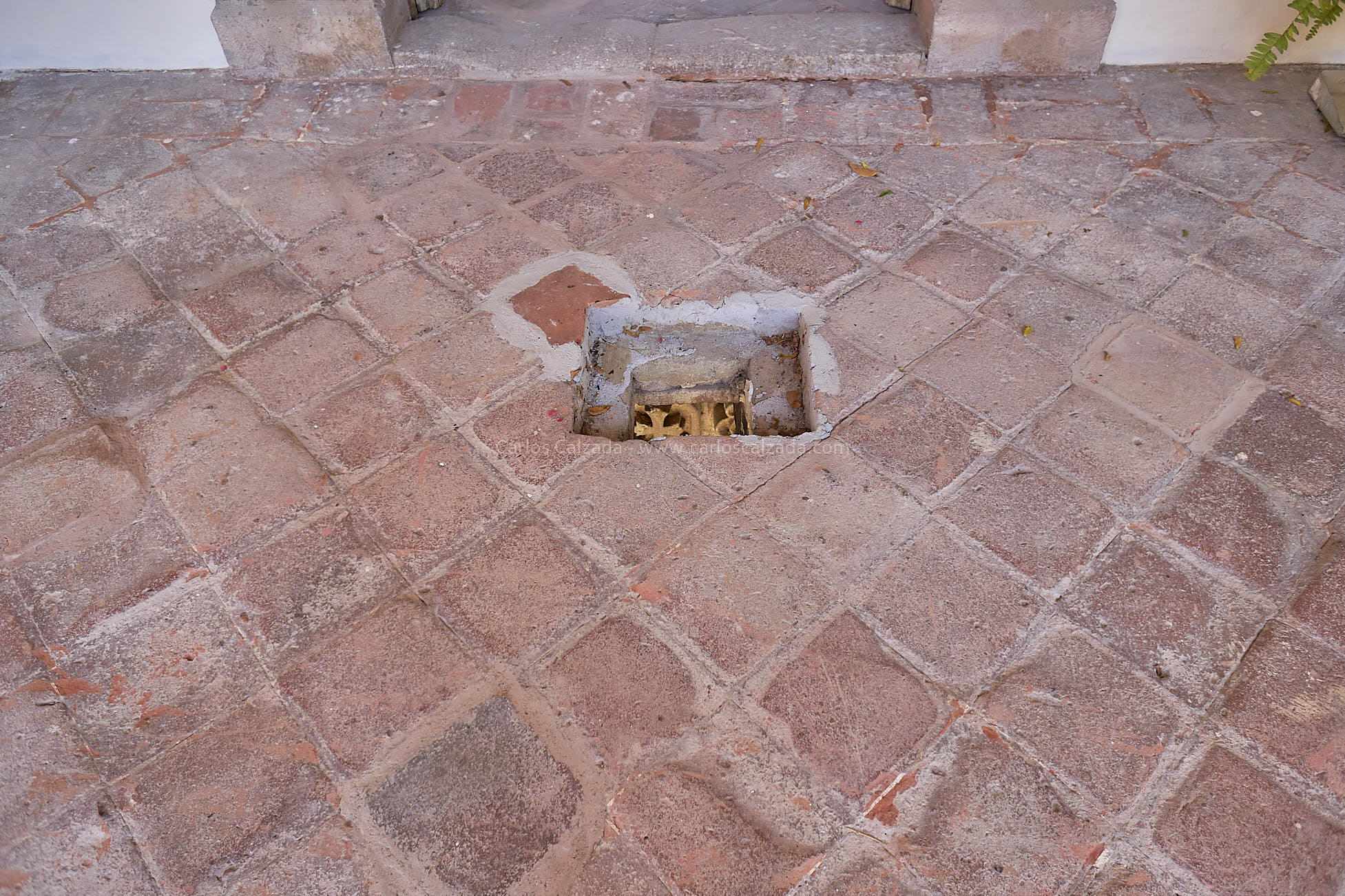 DSC02759.jpg