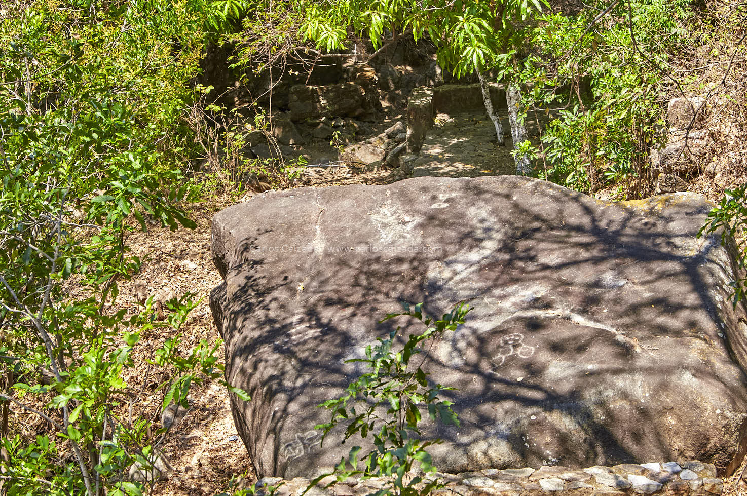 DSC02867_2014.jpg