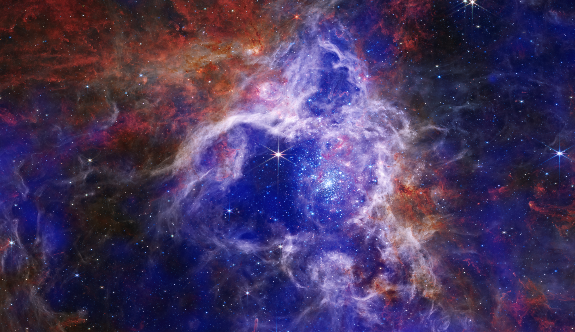 52633392046_a874a336ea_o.png